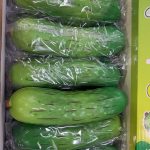 GNIOTEK SQUISHY 1849813