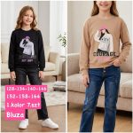 Bluza DZIECIĘCA numer 128-164_ paczka 7szt _1 kolor 2484394