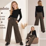 Spodnie DZIECIĘCA size 4-14 lat_ paczka 6szt _1 kolor 2484414