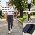 Spodnie DZIECIĘCA numer 140-164_ paczka 5szt _1 kolor 2484425