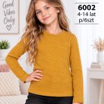 Bluzka DZIECIĘCA size 4-14 lat_ paczka 6szt _1 kolor 9413865