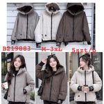 Kurtki Damskie _ size m-3xl _paczka 5szt_1 kolor 9415587