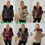 Kurtki Damskie _ size s-2xl _paczka 5szt_1 kolor 9415605
