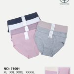Majtki Damskie _ Size XL-3XL paczka 24szt _mix kolor 5235144