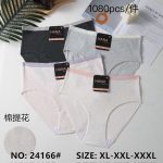 Majtki Damskie _ Size  xl-3xl paczka 24szt _mix kolor 9016200