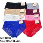 Majtki Damskie _ Size 2xl-4xl paczka 24szt _mix kolor 5931338