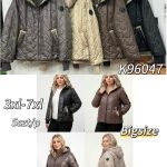 Kurtki Damskie  Size 3xl-7xl_ paczka 5szt_1kolor 3315596