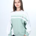 Bluza DZIECIĘCA numer 128-164_ paczka 5szt _1 kolor 8605658