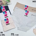 Majtki Damskie _ Size xl-3xl paczka 24szt _mix kolor 3936447