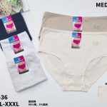 Majtki Damskie _ Size xl-3xl paczka 24szt _mix kolor 3936458