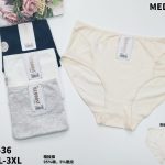 Majtki Damskie _ Size xl-3xl paczka 24szt _mix kolor 7435648