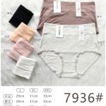 Majtki Damskie _ Size L-2XL paczka 24szt _mix kolor 8815968