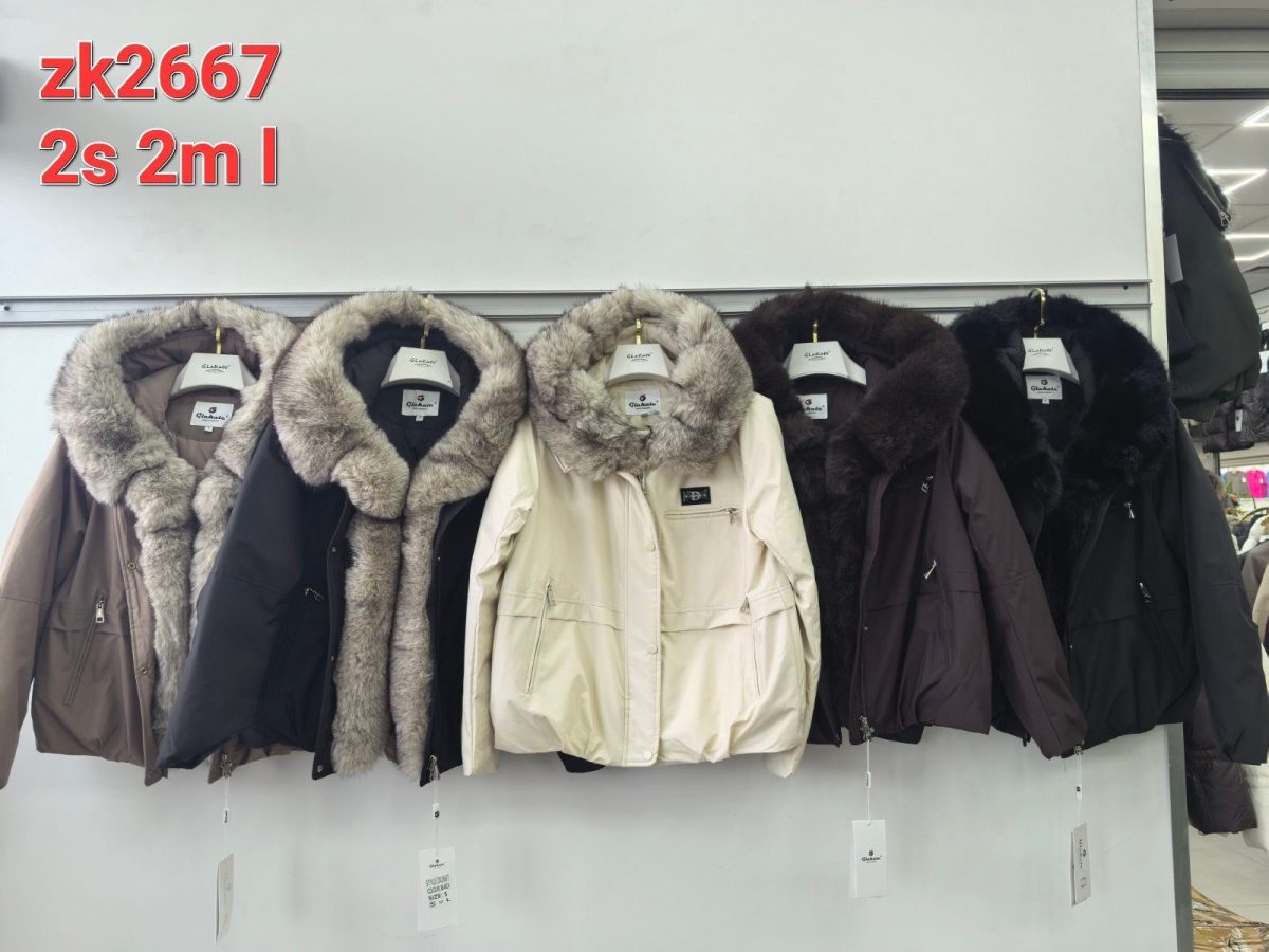Kurtki Damskie _size s-l_paczka 5szt_1 kolor 6129849