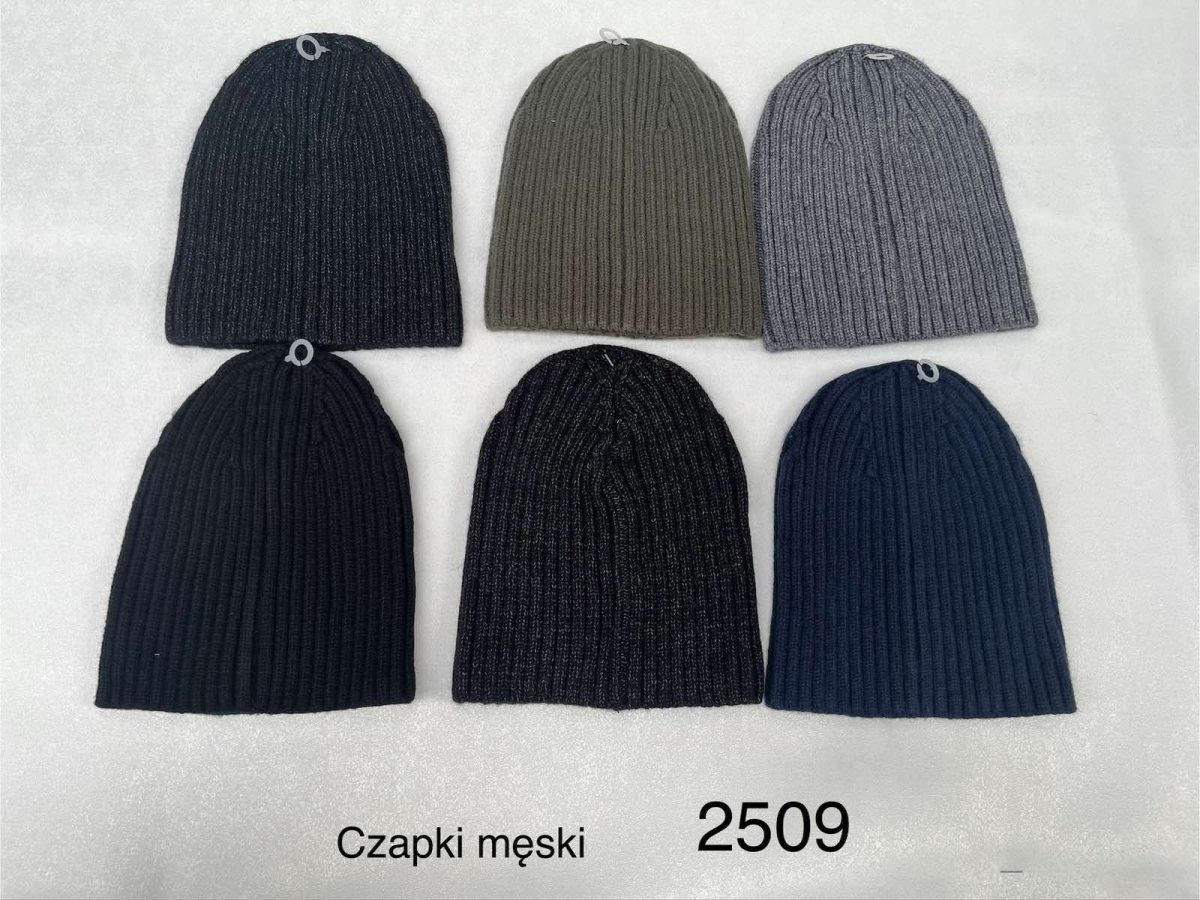 Czapki Męskie_ paczka 12szt _mix kolor 3280653