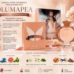 Perfumy 100ml Paczka 12szt 6892108