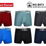 Bokserki MĘSKA size m-3xl _paczka 24szt_mix kolor 7635307
