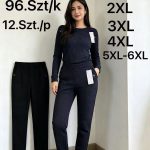 Spodnie Damskie _ Size 2-6xl_ paczka 12szt_1 kolor 4945581
