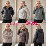 Kurtki Damskie Size 3-7xl_ paczka 5szt_1 kolor 2336069