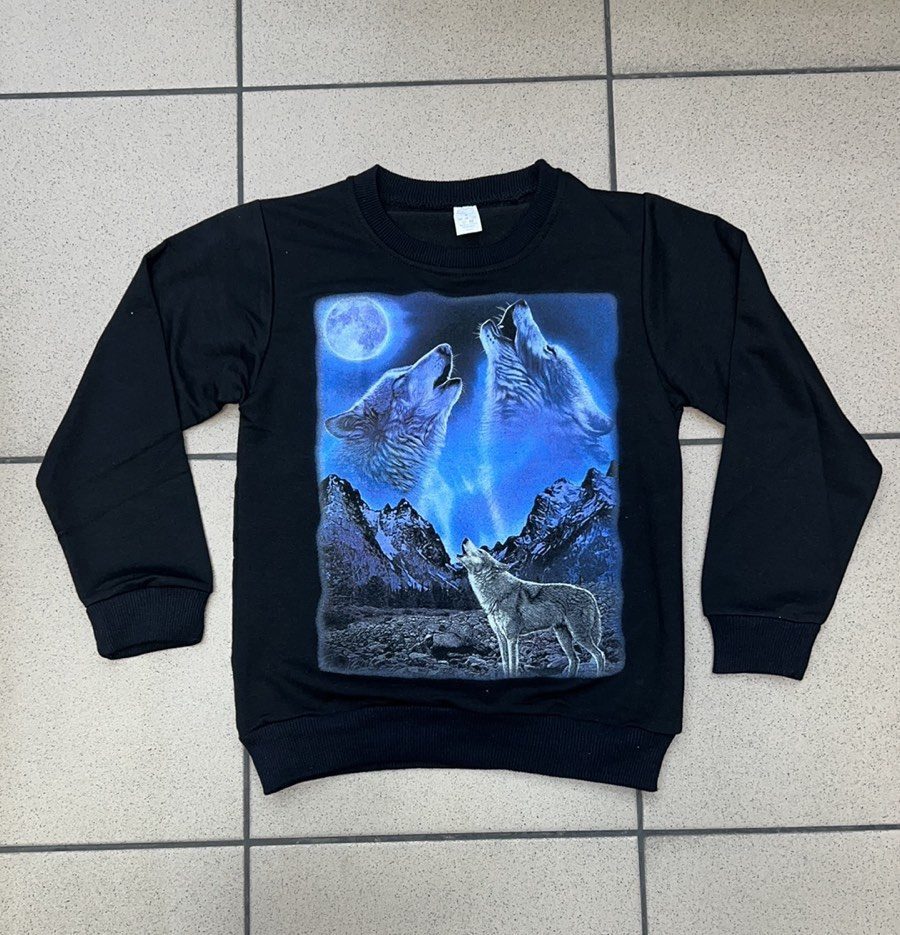 Bluza DZIECIĘCA size 7-14 lat_ paczka 8szt _1 kolor 2336427