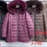 Kurtki Damskie_ size 3-7xl_ paczka 5szt_ 1 kolor 3405517