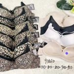 Biustonosz Damskie_Miska D 75-100 _paczka 6szt _1 kolor 8604984