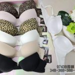 Biustonosz Damskie_Miska B 34-40 _paczka 6szt _1 kolor 8604999