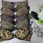Biustonosz Damskie_Miska C 34-42 _paczka 6szt _1 kolor 8605001
