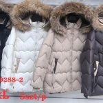 Kurtki Damskie _size 3-7xl_ paczka 5szt_1 kolor 2955189
