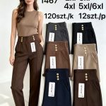 Spodnie DAMSKA _size 2-6xl _paczka 12szt_mix kolor 8384153