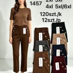 Spodnie DAMSKA _size 2-6xl _paczka 12szt_mix kolor 8384160