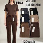 Spodnie DAMSKA _size 2-6xl _paczka 12szt_mix kolor 8384164